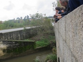 Ponte de Vilela