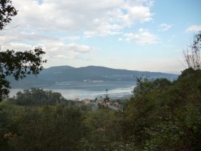 P1030982