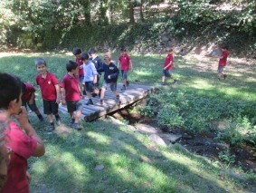 IMG_2137-2