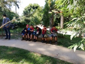 IMG_20190528_101650