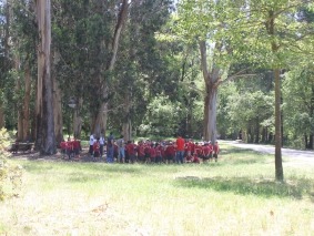 dia da criança_ (38)