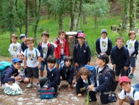 DSCF2377
