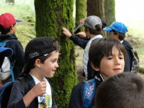 DSCF2366
