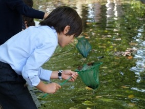 Serralves_13