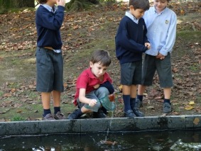 Serralves_14