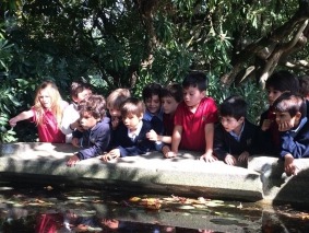 Serralves_2