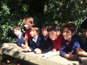 Serralves_1