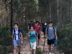 IMG_5539