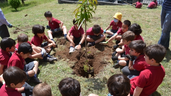 Planalto - Gardening Day