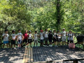 2.&ordm; ano 7