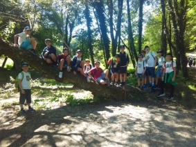 4.&ordm; ano 6