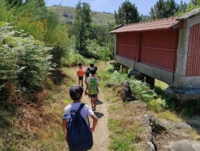1.&ordm; ano 7