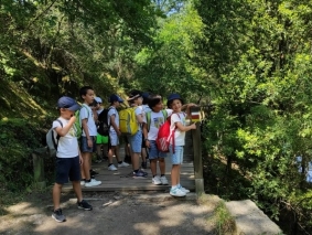 1.&ordm; ano 10