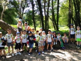 1.&ordm; ano 4