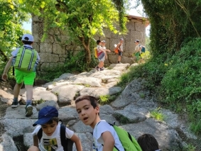 1.&ordm; ano 6