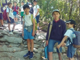 4.&ordm; ano 5