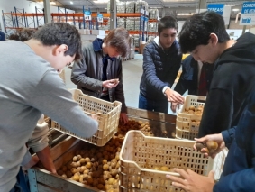 60 Voluntariado banco alimentar