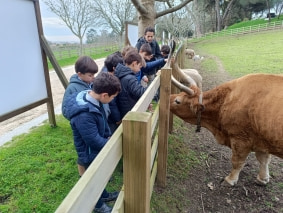 7_Serralves_3ano