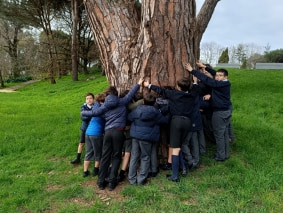 14_Serralves_3ano