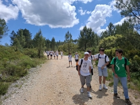 Fátima14