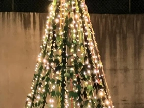 &Aacute;rvore de Natal 2025.jpg
