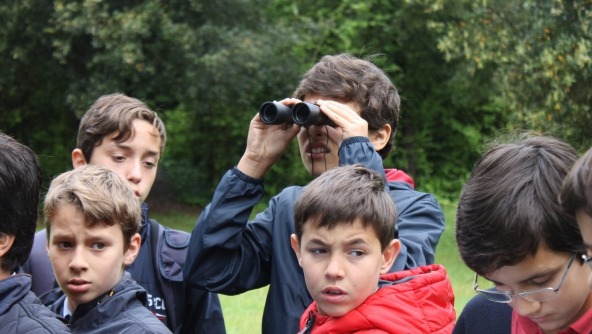Planalto - BioBlitz: descobrir a Natureza